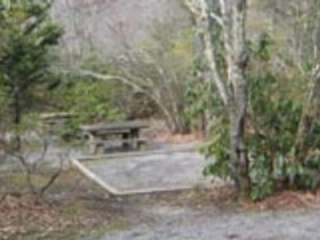 Mount Pisgah Campground