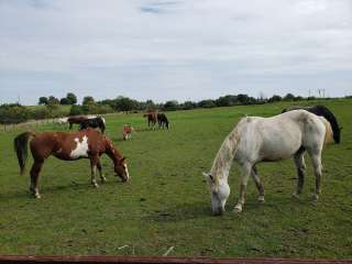 Woodsmoke Ranch