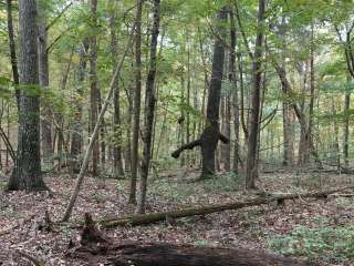 O'Bannon Woods State Park