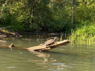 Trading Post Canoe Kayak & Campground