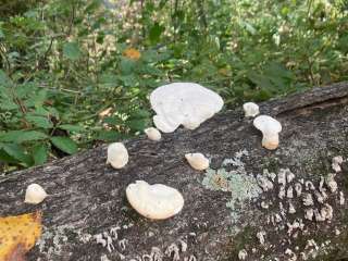 Warrick County Park Scales Lake Park