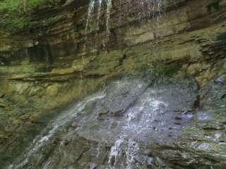 Salamonie River State Forest