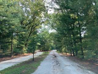 Pioneer Family Campground