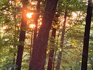 Hoosier National Forest Pine Loop Campground