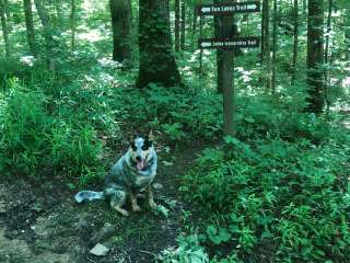 Hoosier National Forest South Slope Loop Campground