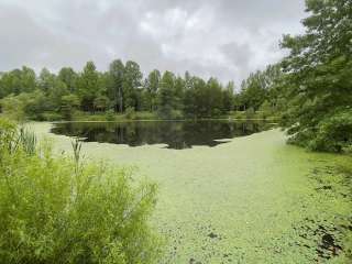 Maines Pond