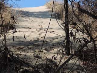 Dragonfly Dune