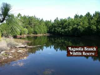 Magnolia Branch Wildlife Reserve