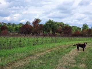 Chichaqua Bottoms Greenbelt