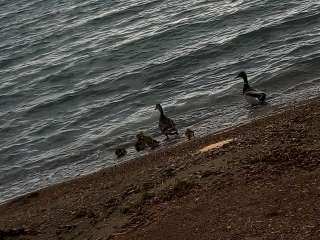 Gull Point State Park