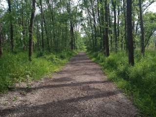 Morgan Creek County Park