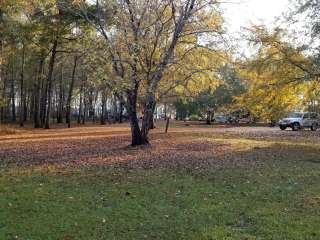 COE Okatibbee Lake Twiltley Branch Campground