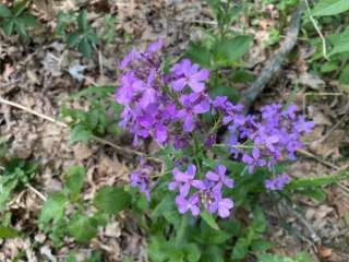 Elkhorn Creek Recreation Area