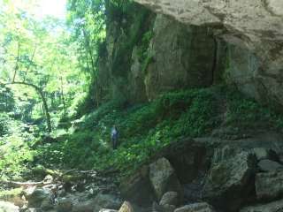 Duttons Cave Co Park