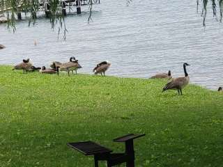 Harrison County Park Willow Lake Park