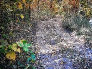 Three Elms County Park