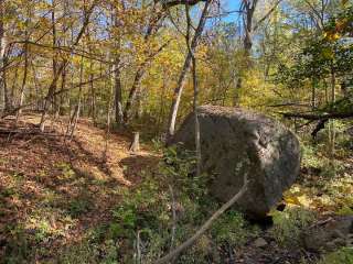 Grammer Grove Wildlife Area