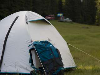 Talladega Pit Stop Campground 