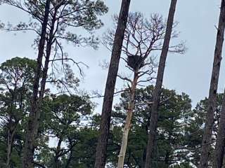 North Toledo Bend State Park