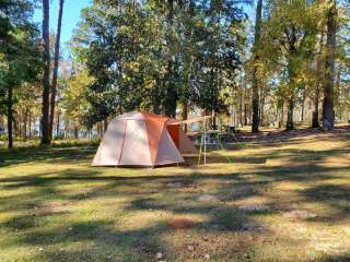 Cotile Recreation Area