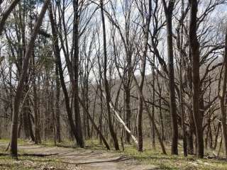 Platte River State Park