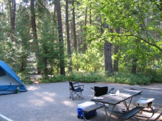 Thimbleberry Group Camp — Farragut State Park