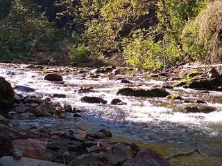 Sullivan creek campground#2