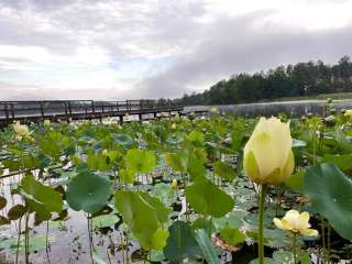 Lake Columbia