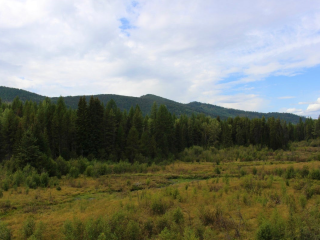 Big Meadow Lake Campground