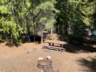 Trout Lake Campground