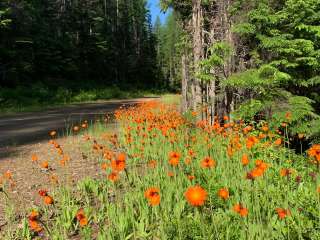 Howard Lake Campground