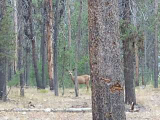 Pleasant Valley Campground