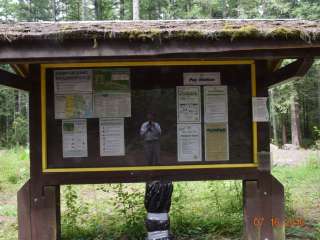 Olympic National Forest Falls View Campground