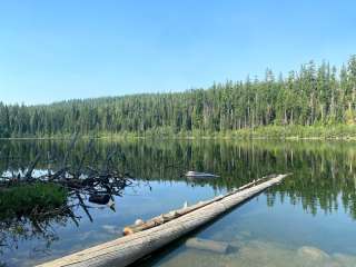 Colville National Forest Davis Lake Campground