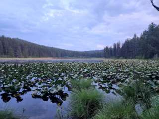 Carl's Lake