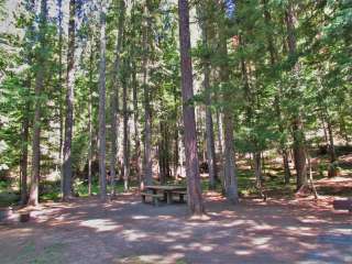 Giant White Pine Campground