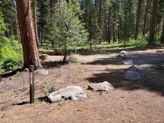 Dog Creek Camp