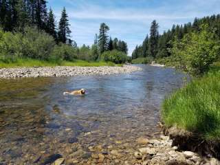 Laird Park Campground