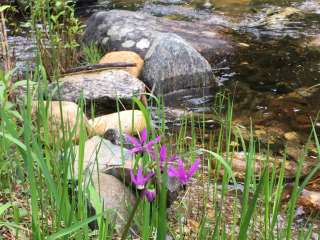 Donkey Creek Campground