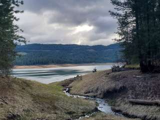 Freeman Creek Campground — Dworshak State Park