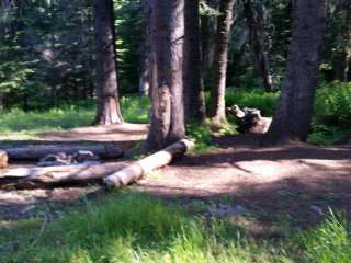 Stanley Hot Springs - Backcountry Dispersed Campsite