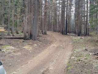 Pete Forks Campground