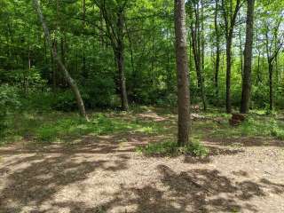 Running Water Creek Campground