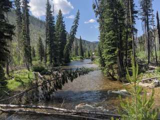 South Fork Salmon River