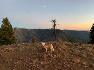 Hells Canyon Overlook Near Saddle Creek - Dispersed Site