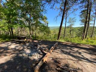 Cheaha Falls Shelter