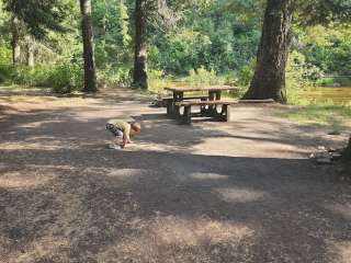 Nez Perce National Forest South Fork Campground