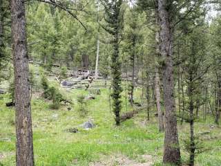 Bear Valley Horse Camp