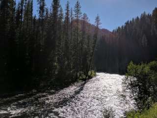 Fly Creek Campsite