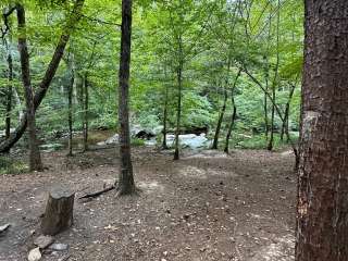 Skyway Loop Backcountry Site Near Chinnabee